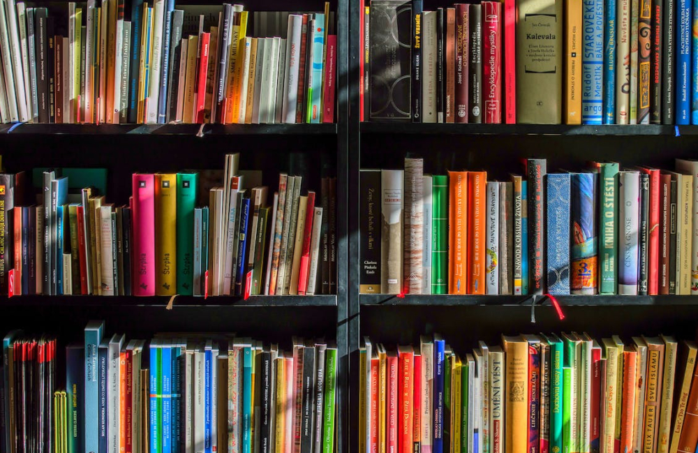 books-bookstore-book-reading-159711